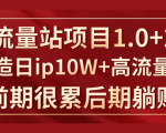 《大流量站项目1.0+2.0》打造日IP10W+高流量站，前期很累后期躺赚-第一资源库