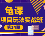 龟课·闲鱼项目玩法实战班第14期,批量细节玩法,一个月收益几万-第一资源库