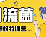 引流菌2020全网爆粉特训营(QQ群霸屏,知乎引流,群裂变,自动化引流等)-第一资源库