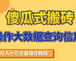 搬砖操作大数据查询信用项目赚钱教程,祝你快速月入6万-第一资源库