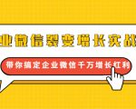 企业微信裂变增长实战课:带你搞定企业微信千万增长红利,新流量-新玩法-第一资源库
