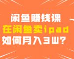 闲鱼赚钱课:在闲鱼卖ipad,如何月入3W?详细操作教程-第一资源库