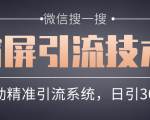微信搜一搜霸屏引流技术，打造被动精准引流系统，轻松日引300+流量-第一资源库