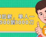 Paypal拉新赚美刀项目，单人一天利润500-1000刀【视频课程】-第一资源库