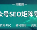 高鹏圈公众号SEO矩阵号群，实操20天纯收益25000+，普通人都能做-第一资源库