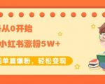 生财小红书涨粉变现:新账号从0开始3个月小红书涨粉5W+实现单篇爆粉-第一资源库