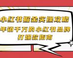 小红书掘金实操攻略，年销千万的小红书品牌打爆款指南-第一资源库