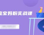 百度贴吧引流宝妈粉实战课,小白也可以日引100+精准粉-第一资源库