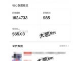 大凯进阶圈新玩法之拼多多视频玩法,利润大概一个号一天能有500~1500的左右!-第一资源库