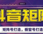 高鹏圈·抖音带货矩阵项目,起号成功率100%,出单率100%!-第一资源库