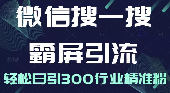 微信搜一搜霸屏引流课,打造被动精准引流系统,轻松日引300行业精准粉-第一资源库