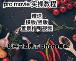 漆十二美食摄影，25​节promovie实操高手课节-第一资源库