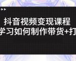 抖音短视频变现课程:带你学习如何制作带货+打造IP【41节】-第一资源库