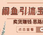 闲鱼引流宝妈粉+卖货赚钱一个月收益30000+(实操视频教程)-第一资源库