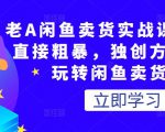 老A闲鱼卖货实战课,简单直接粗暴,独创方法带你玩转闲鱼卖货!-第一资源库