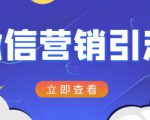 微信营销策划引流系列课程,每天引流100精准粉-第一资源库