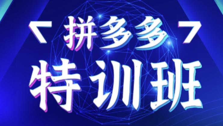 星雪教育·拼多多基础班+进阶班+突破班,用系统的学习模式快速改变现状价值3580元-第一资源库