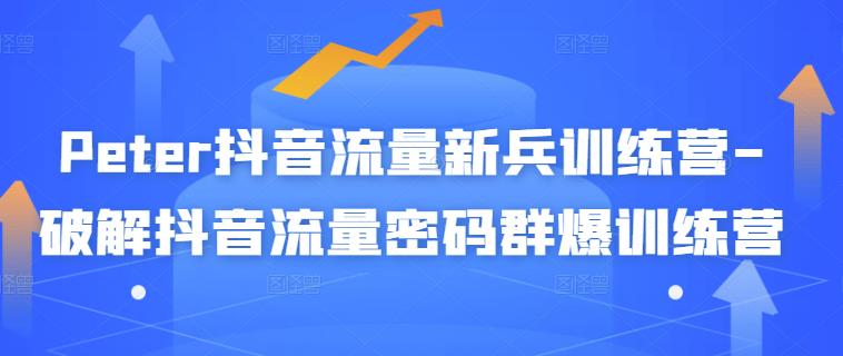Peter抖音流量新兵训练营-破解抖音流量密码群爆训练营(新兵)-第一资源库