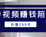 中视频赚钱陪跑，卖中视频账户赚钱收益陪跑项目（价值599元）-第一资源库