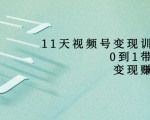 11天视频号变现训练营,从0到1打造变现赚钱系统(价值398元)-第一资源库