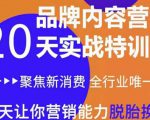 《内容营销实操特训营》20天让你营销能力脱胎换骨（价值3999）-第一资源库