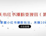 21天小红书涨粉变现营(第3期):带你掌握小红书爆款玩法,月赚10W+秘密-第一资源库