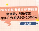 28天小红书博主IP特训营《第9期》做爆款,涨粉变现 单条广告笔记500-10000-第一资源库
