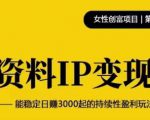 资料IP变现,能稳定日赚3000起的持续性盈利玩法-第一资源库