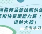 短视频油管动画快速制作涨粉快变现能力高(0基础进阶大神)-第一资源库