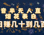 抖音半无人直播烟花表白,日赚几十到几百(教程+视频模板素材)-第一资源库