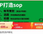瑶瑶·自然流IP孵化,系统掌握IP孵化全流程,也能学到选题,剪辑,账号运营经验-第一资源库