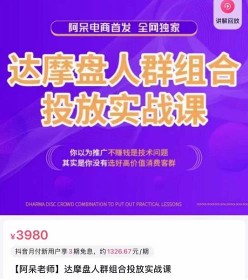 阿呆电商·达摩盘人群组合投放实战课,你以为推广不赚钱是技术问题,其实是你没有选好高价值消费客群-第一资源库