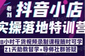 抖音小店实操落地特训营:抖音小店无货源精细化运营,抖店商品卡流量(22节)-第一资源库