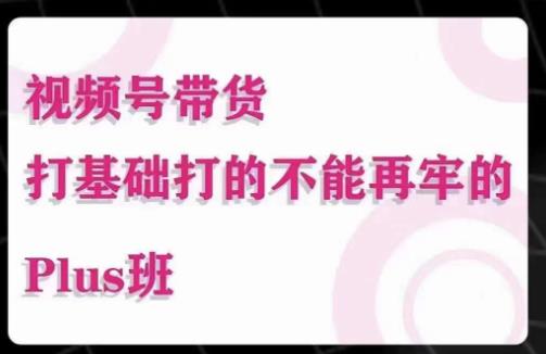 大播汇·视频号带货Puls班,视频号底层逻辑,起号自然流鱼塘等玩法-第一资源库