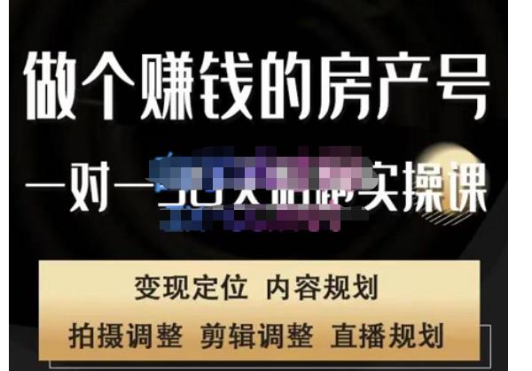 刘广标·同城房产号线上陪跑课,拍摄、剪辑、写文案、直播,做一个具有潜力价值的房产号-第一资源库