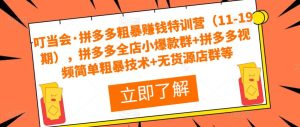 叮当会·拼多多粗暴赚钱特训营（11-19期），拼多多全店小爆款群+拼多多视频简单粗暴技术+无货源店群等-第一资源库