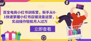 百宝电商小红书训练营,新手从0-1快速掌握小红书店铺流量运营,实战操作轻松月入过万-第一资源库