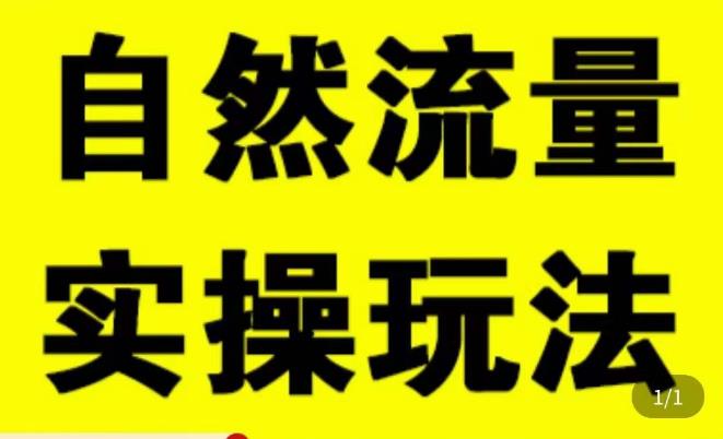 拼多多自然流量天花板,拼多多自然流的实操玩法,自然流量是怎么来的,如何开车带来自然流等知识-第一资源库