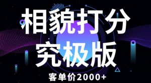 相貌打分究极版,客单价2000+纯新手小白就可操作的项目-第一资源库