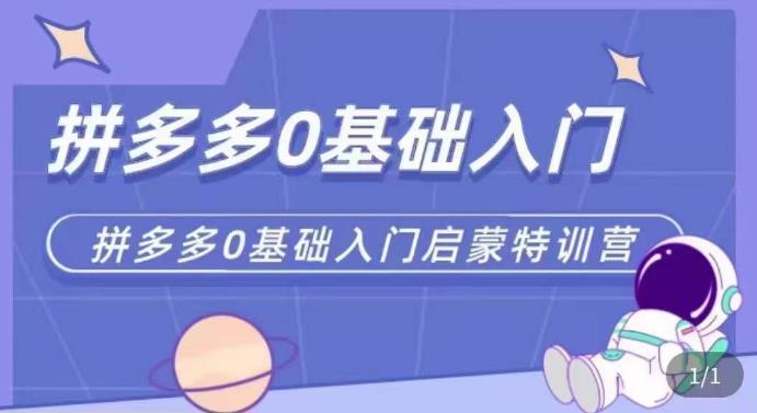 拼多多运营0-1实操特训营,拼多多0基础入门,从基础到进阶的可实操玩法-第一资源库