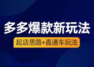 海神·多多爆款新玩法,起店思路+直通车玩法(3节精华课)-第一资源库