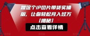 蹭这个IP切片带货实操版,让你轻松月入过万【揭秘】-第一资源库