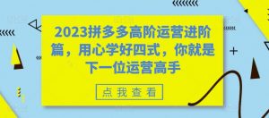 2023拼多多高阶运营进阶篇,用心学好四式,你就是下一位运营高手-第一资源库