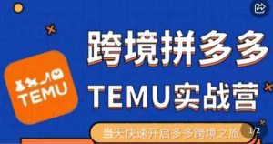 大鹏出海·拼多多跨境temu运营指导,开店注册+选品+核价上架,日出千单实战课-第一资源库