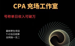张子凡·20年实战经验,揭秘营销背后的底层逻辑,突破思维局限,从根本上破解营销难题-第一资源库