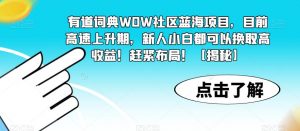 有道词典WOW社区蓝海项目,目前高速上升期,新人小白都可以换取高收益!赶紧布局!【揭秘】-第一资源库