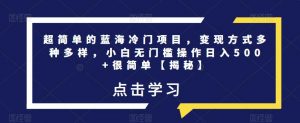 超简单的蓝海冷门项目,变现方式多种多样,小白无门槛操作日入500+很简单【揭秘】-第一资源库