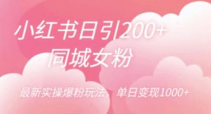 小红书日引200+同城女粉,最新实操爆粉玩法,单日变现1000+【揭秘】-第一资源库