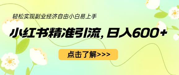 小红书精准引流,小白日入600+,轻松实现副业经济自由(教程+1153G资源)-第一资源库