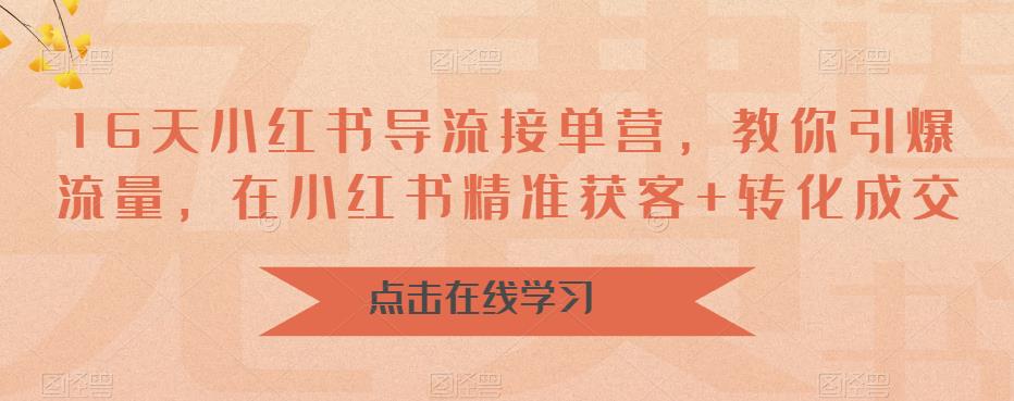 16天小红书导流接单营,教你引爆流量,在小红书精准获客+转化成交-第一资源库